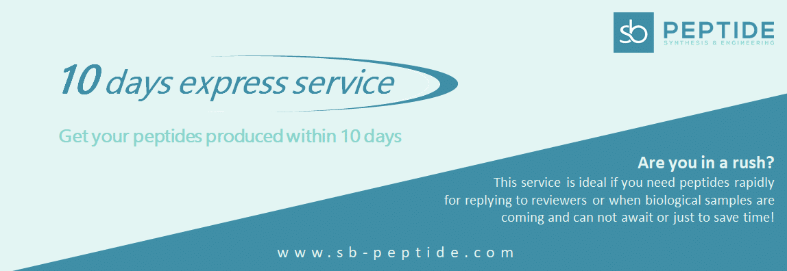 10 days express peptide synthesis service