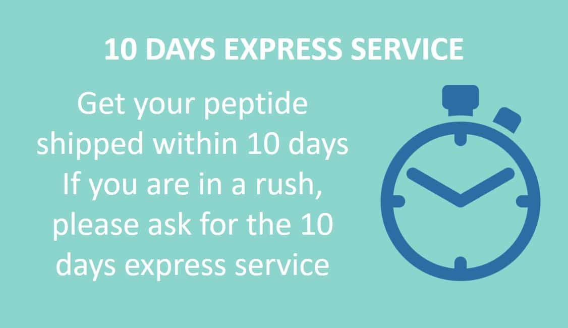 10 days express service - available options