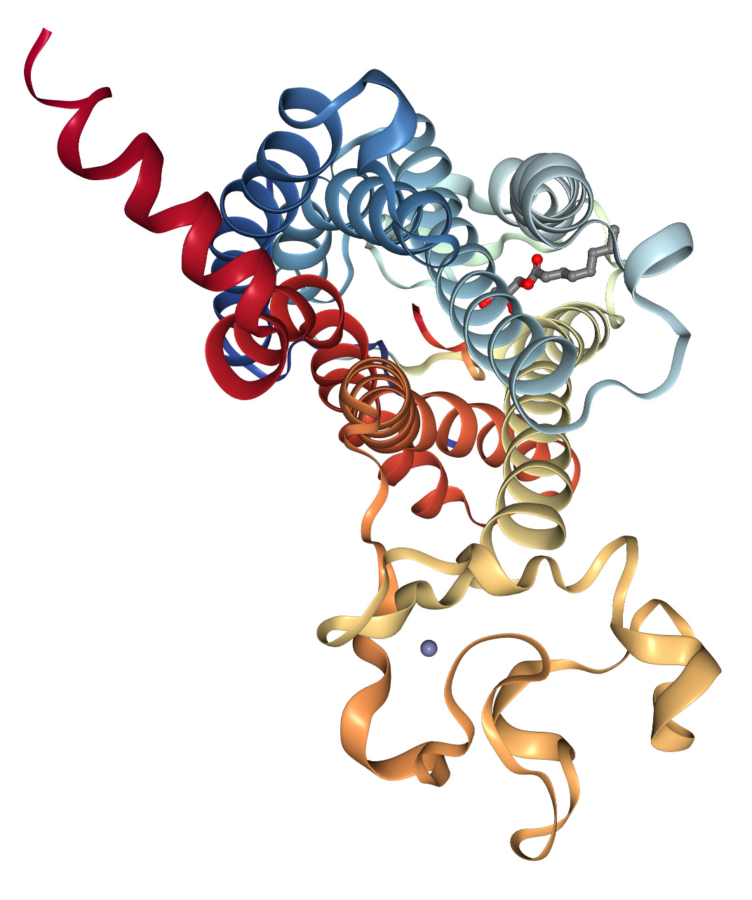 SB-PEPTIDE Apelin-36 (CAS: 252642-12-9) - APJ structure