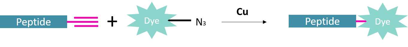 Click chemistry dyes