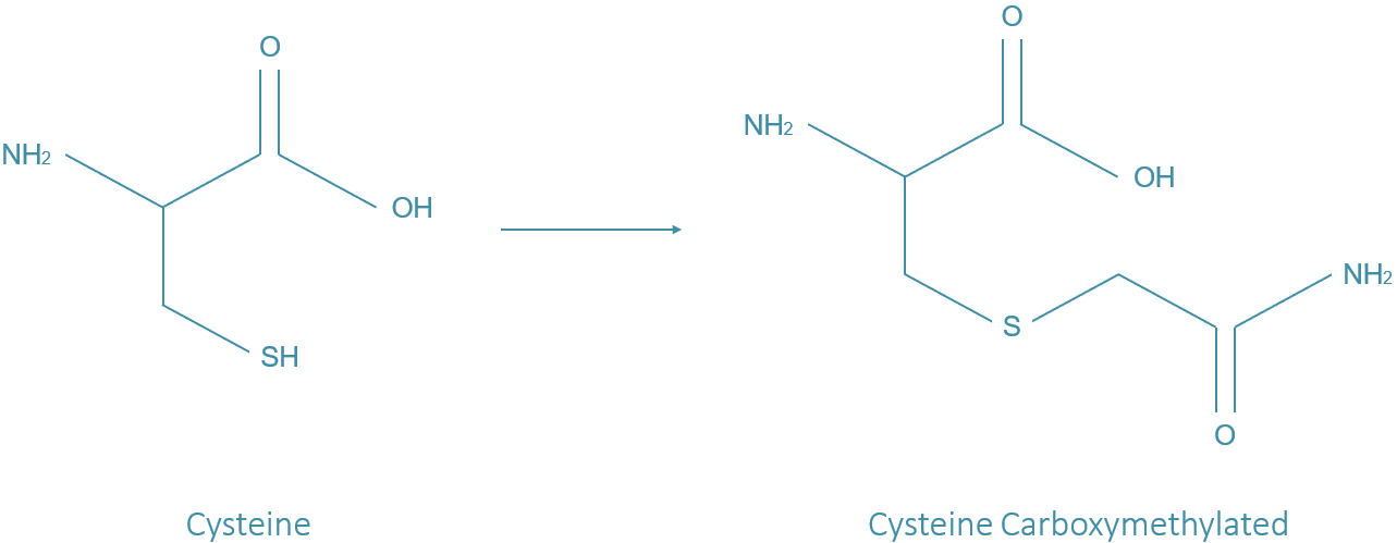 CysCAM modification Cysteine CAM