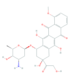 DOXORUBICIN