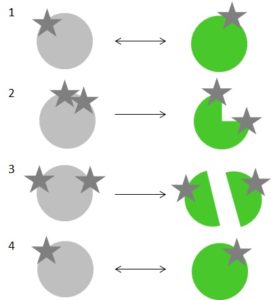 FRET peptide applications - Smart Bioscience