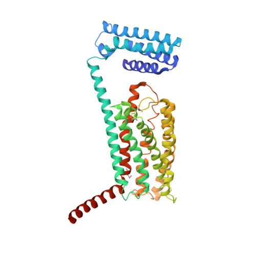 Glucagon class B GPCR receptor - Glucagon peptide CAS: 16941-32-5