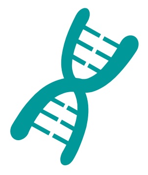 Lysine Peptide DPRA Sequency