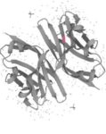 myelin oligodendrocyte protein structure