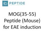 MOG35-55 peptide EAE induction