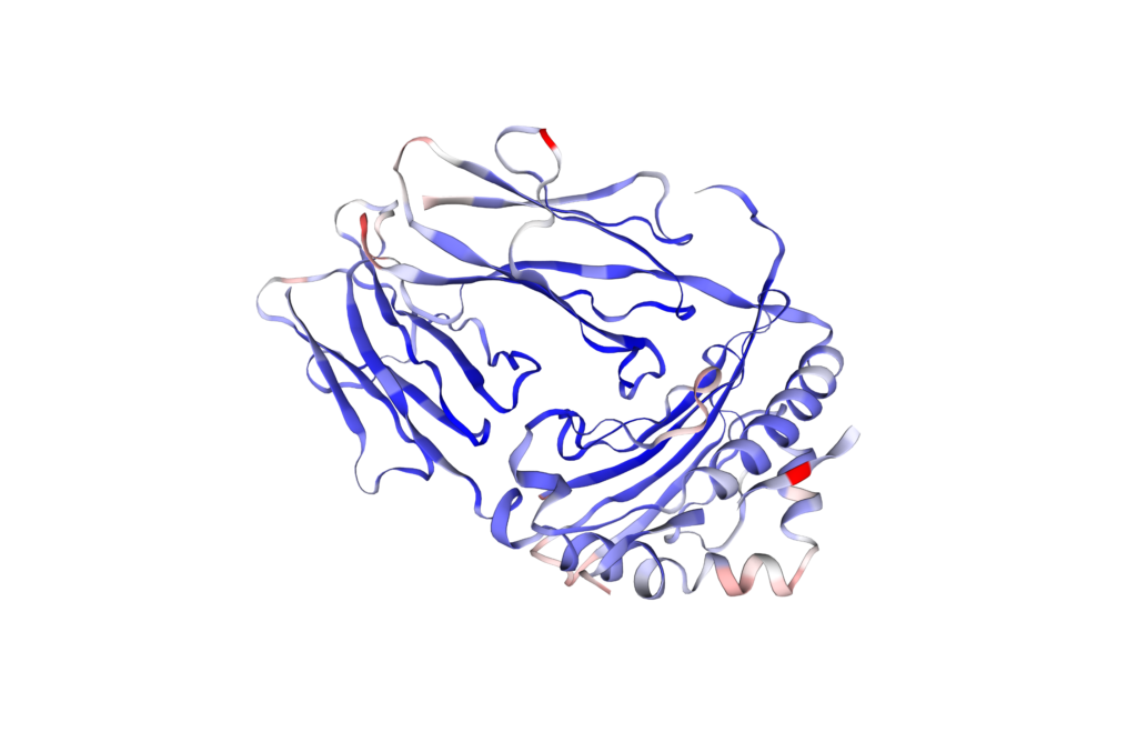 Melan-A protein 3D structure