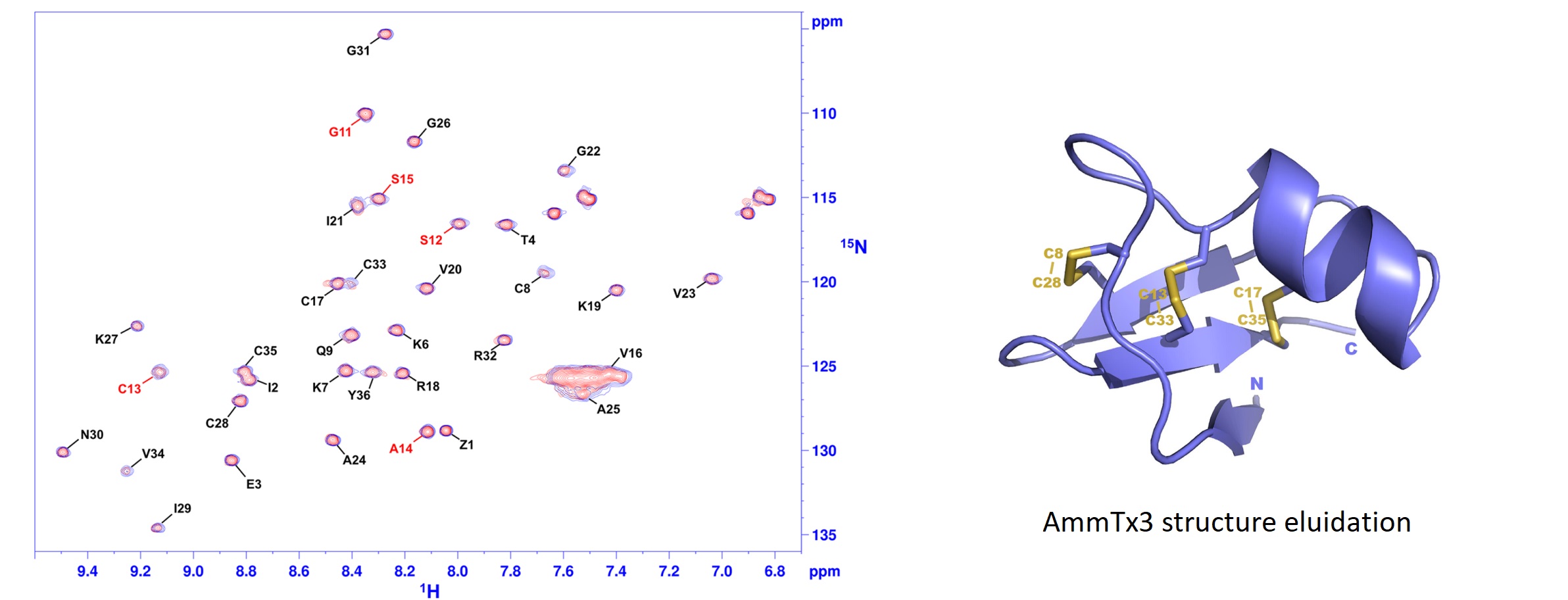 NMR nuclear magnetic resonnance of peptide sb-peptide