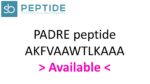 PADRE peptide AKFVAAWTLKAAA