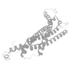 Proteolipid protein Structure