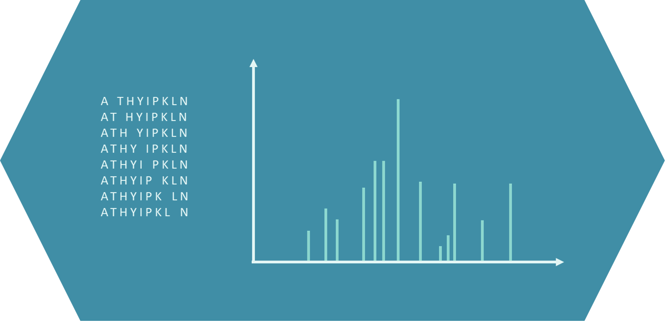 Peptide amino acid sequencing