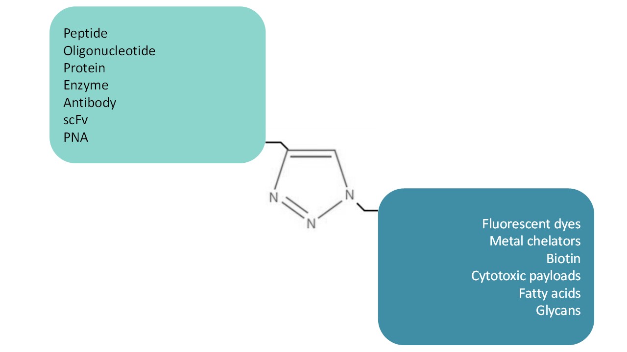 Peptide click-chemistry