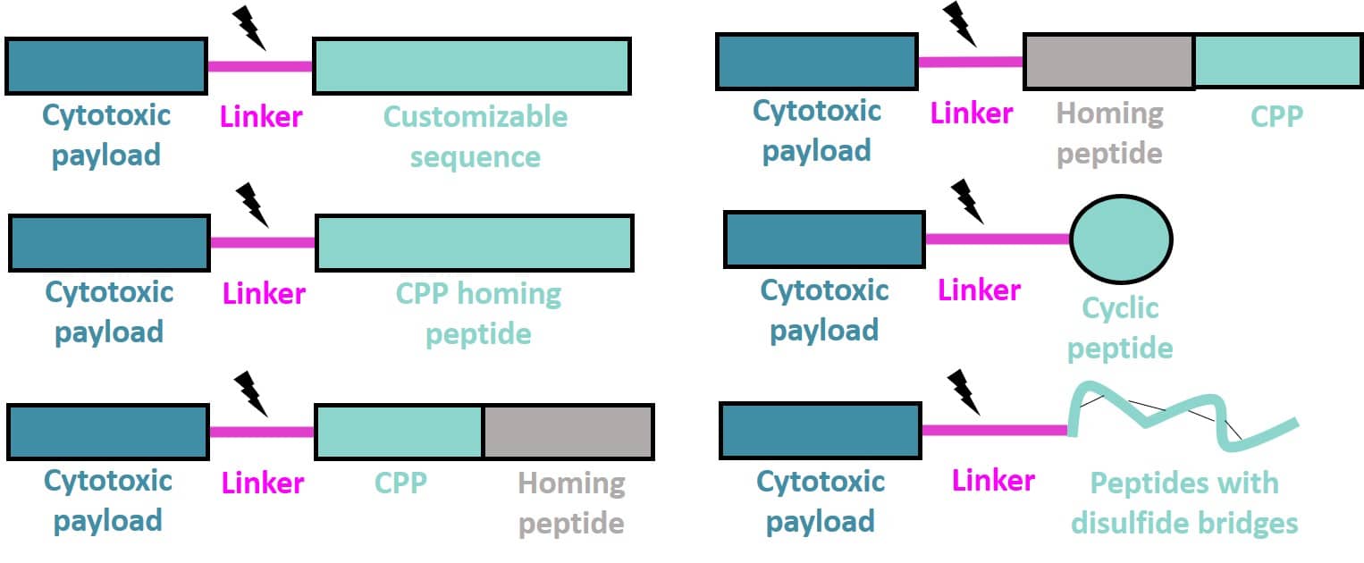 Peptide-Drug Conjugates