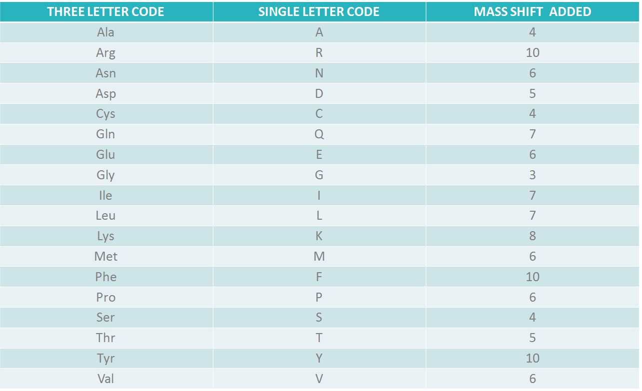 Heavy peptide isotope labeling