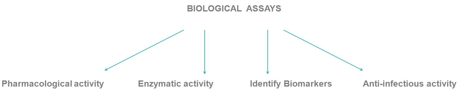 Peptide library synthesis Biological assays