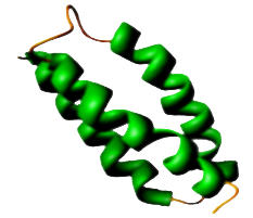 Smart Bioscience Peptide synthesis services