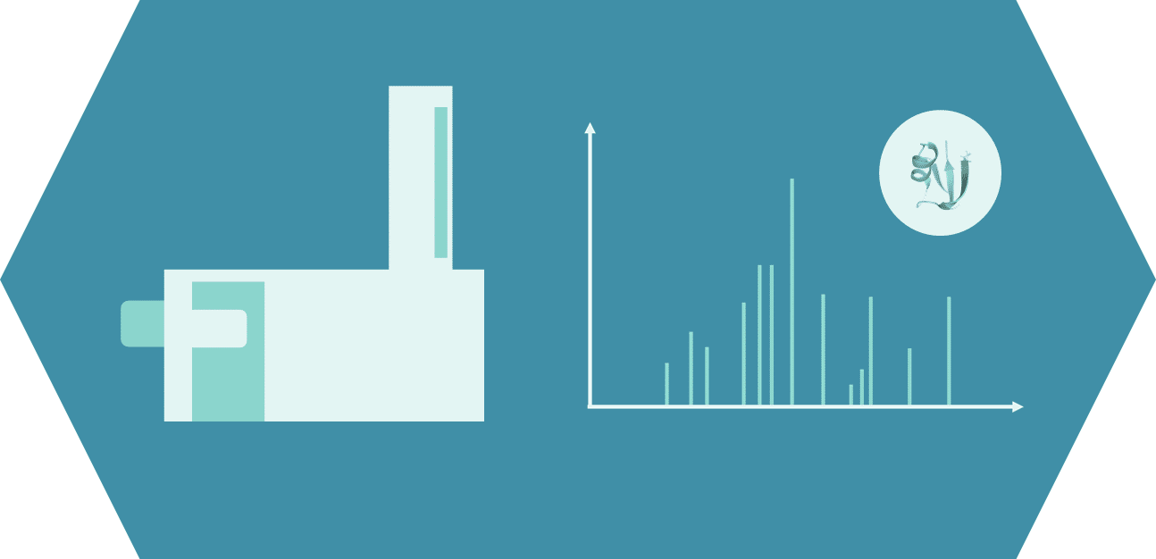 Peptide mass spectrometry service