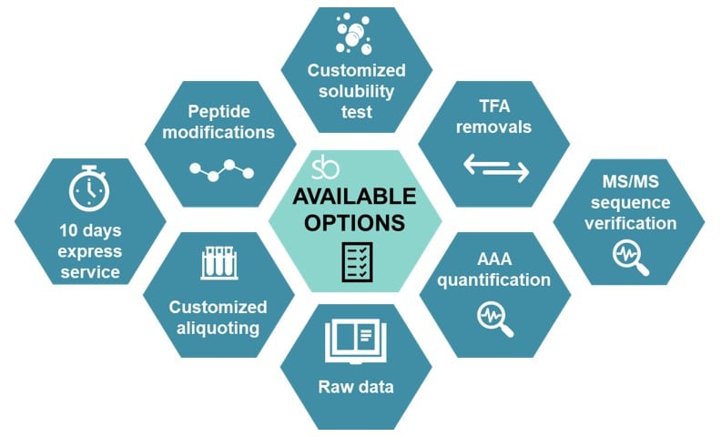 Peptide modifications availabe at SB-PEPTIDE