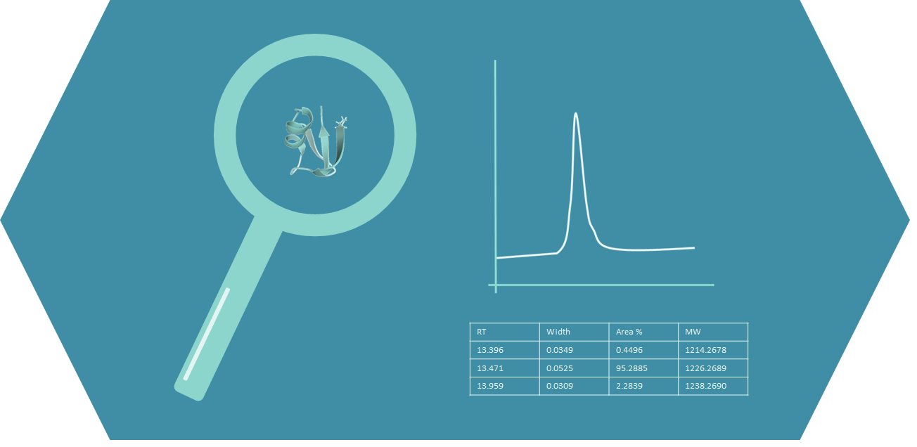 Peptide stability studies
