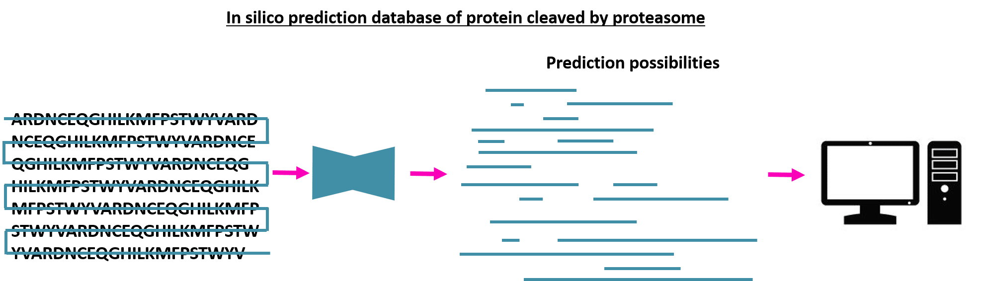 prediction proteasomal cleavage netchop