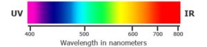 Smart Bioscience fluorescent peptides