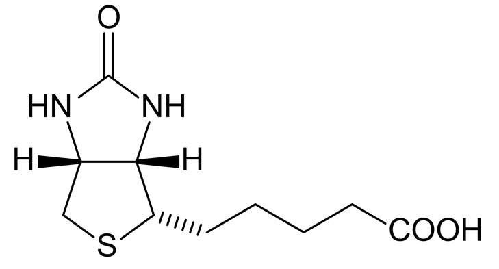 biotinylated peptide