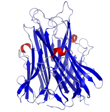 Tumour Necrosis Factor alpha 3D structure