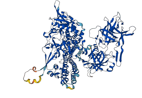 Tetanus Toxin QYIKANSKFIGITEL peptide explications SB-PEPTIDE