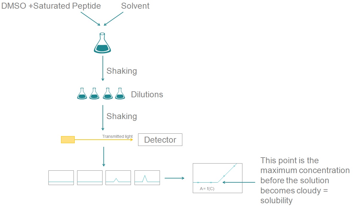 Turbidimetric solubility assay