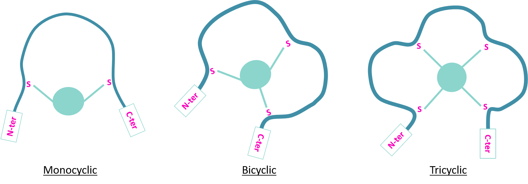 Peptide cyclization