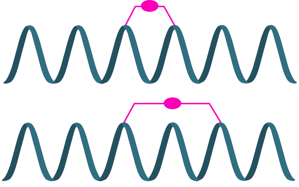 Stapled peptide Peptide cyclization