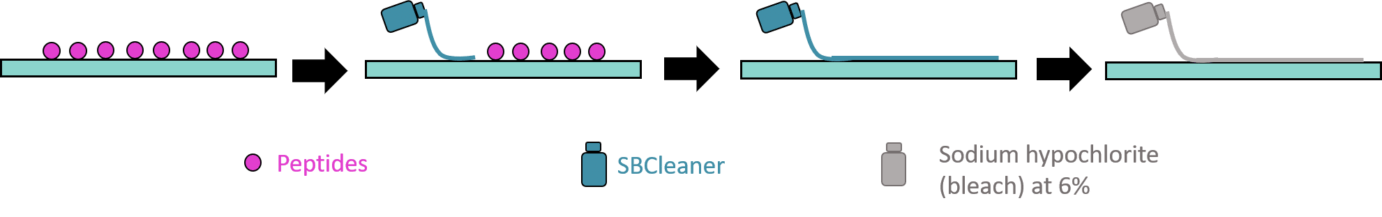 Peptide decontamination guidelines