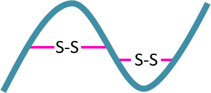 disulfide bridge Peptide cyclization